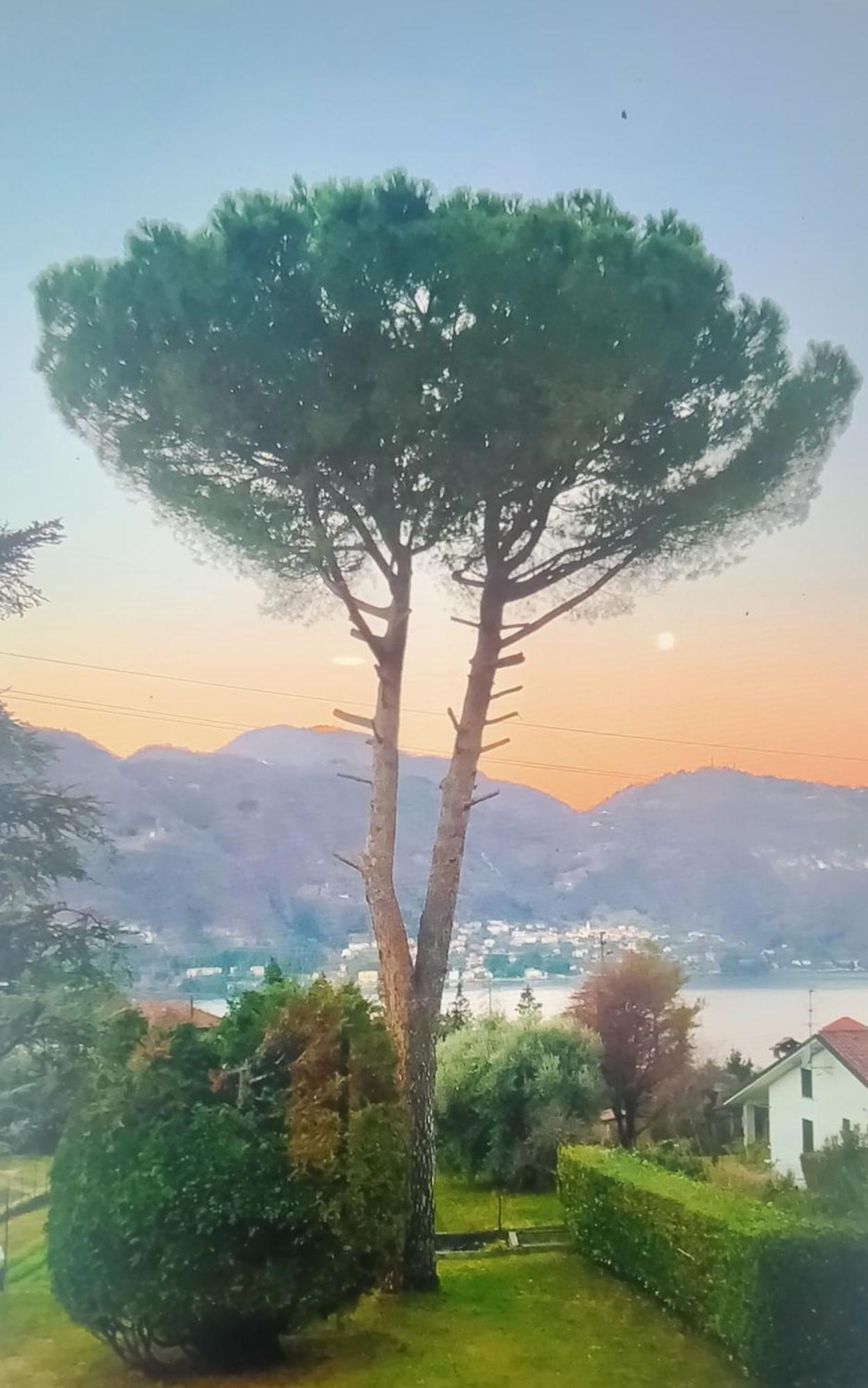 Villa Rosi Lierna Buitenkant foto